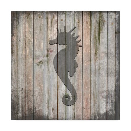 TRADEMARK FINE ART Lightboxjournal 'Country Seahorse' Canvas Art, 18x18 ALI23609-C1818GG